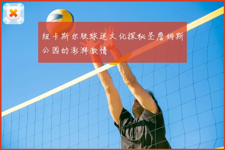 纽卡斯尔联球迷文化探秘圣詹姆斯公园的澎湃激情