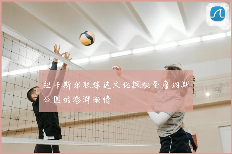 纽卡斯尔联球迷文化探秘圣詹姆斯公园的澎湃激情